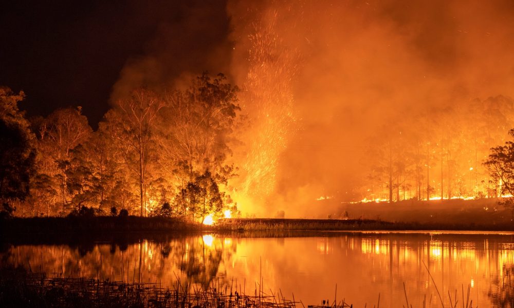 Celebrities Affected in Australia’s Bush Fires